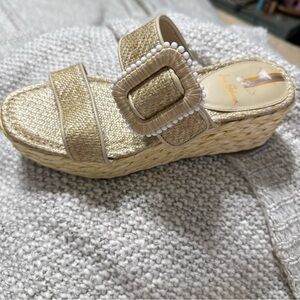 Sam Edelman Chase platform wedge espadrille sandal size 6M